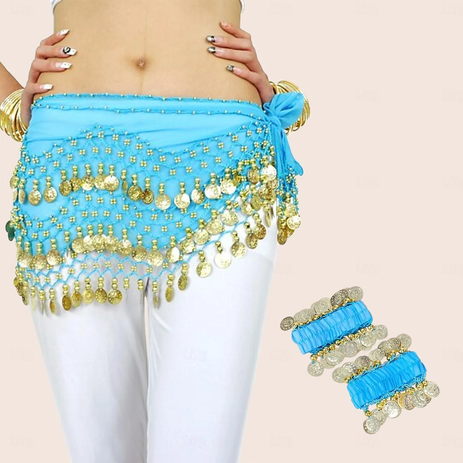 Belly Dance Hip Scarf Coin Beading Sequins Women's Training Chiffon with Coin Tassel Dance Accessories