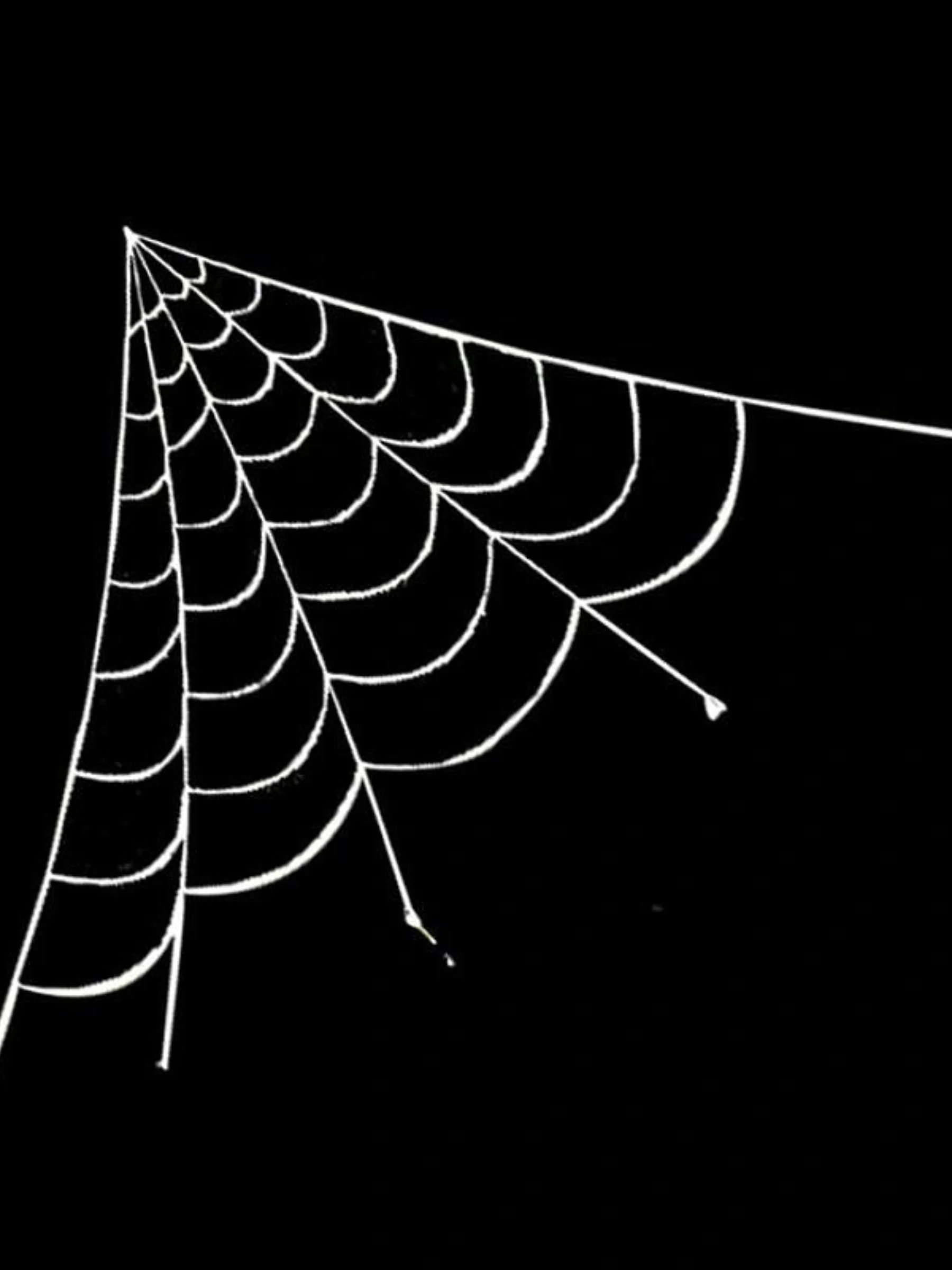 Halloween Giant Plush Scary Glowing Spider Party Decoration Props - Image 2