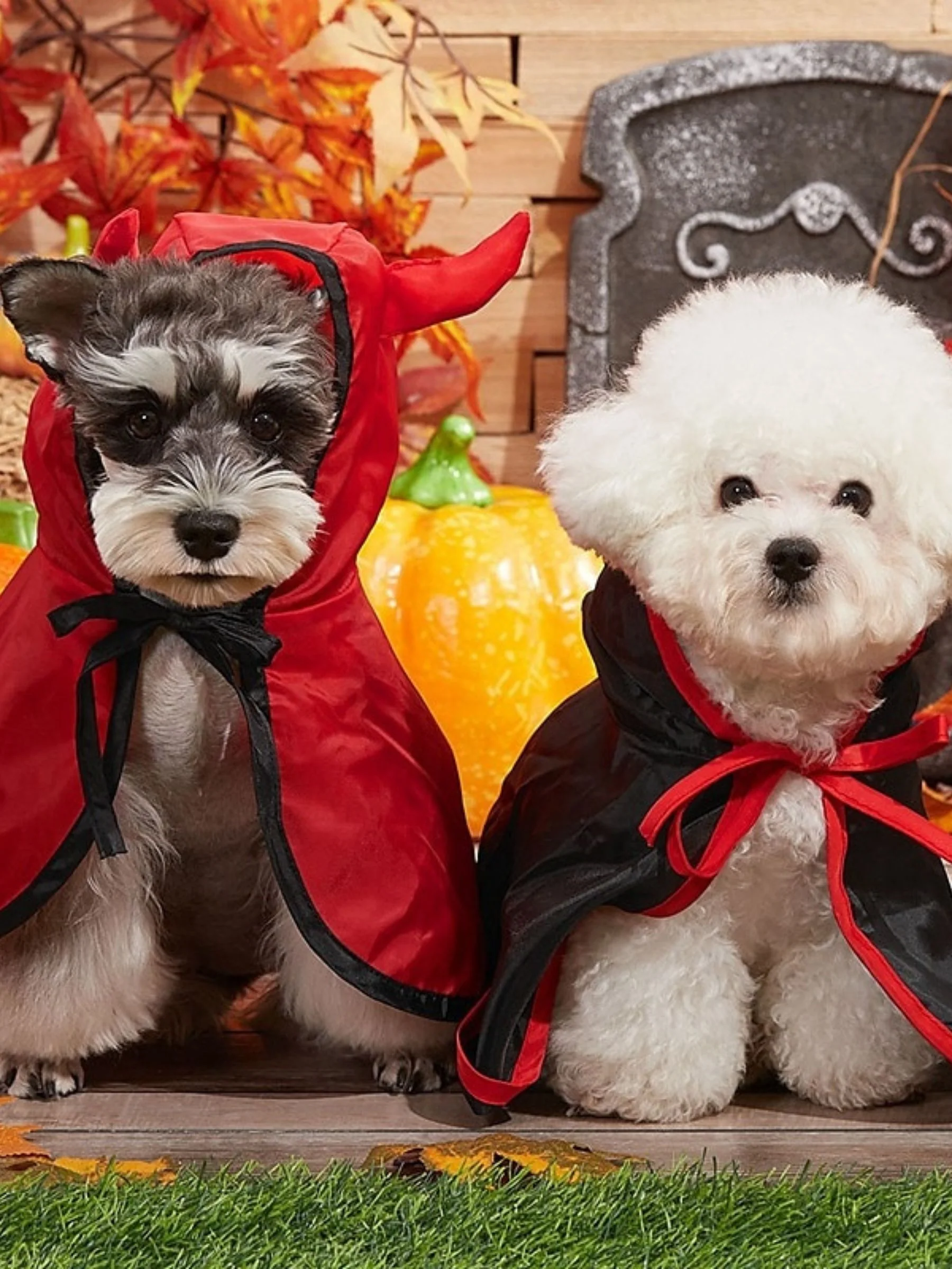 Halloween Mini Black Devil Cloak Hat Pet Decoration Costume - Image 3