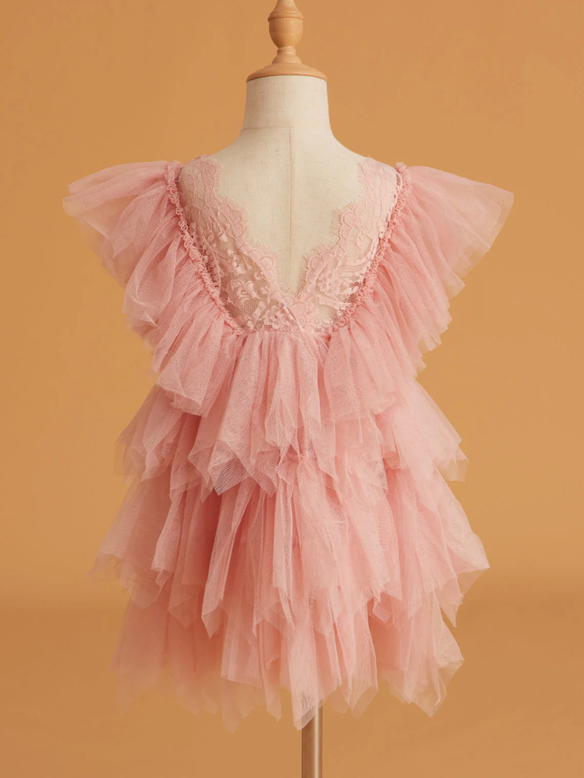 Lace Tulle Short/Mini Dress - Image 6