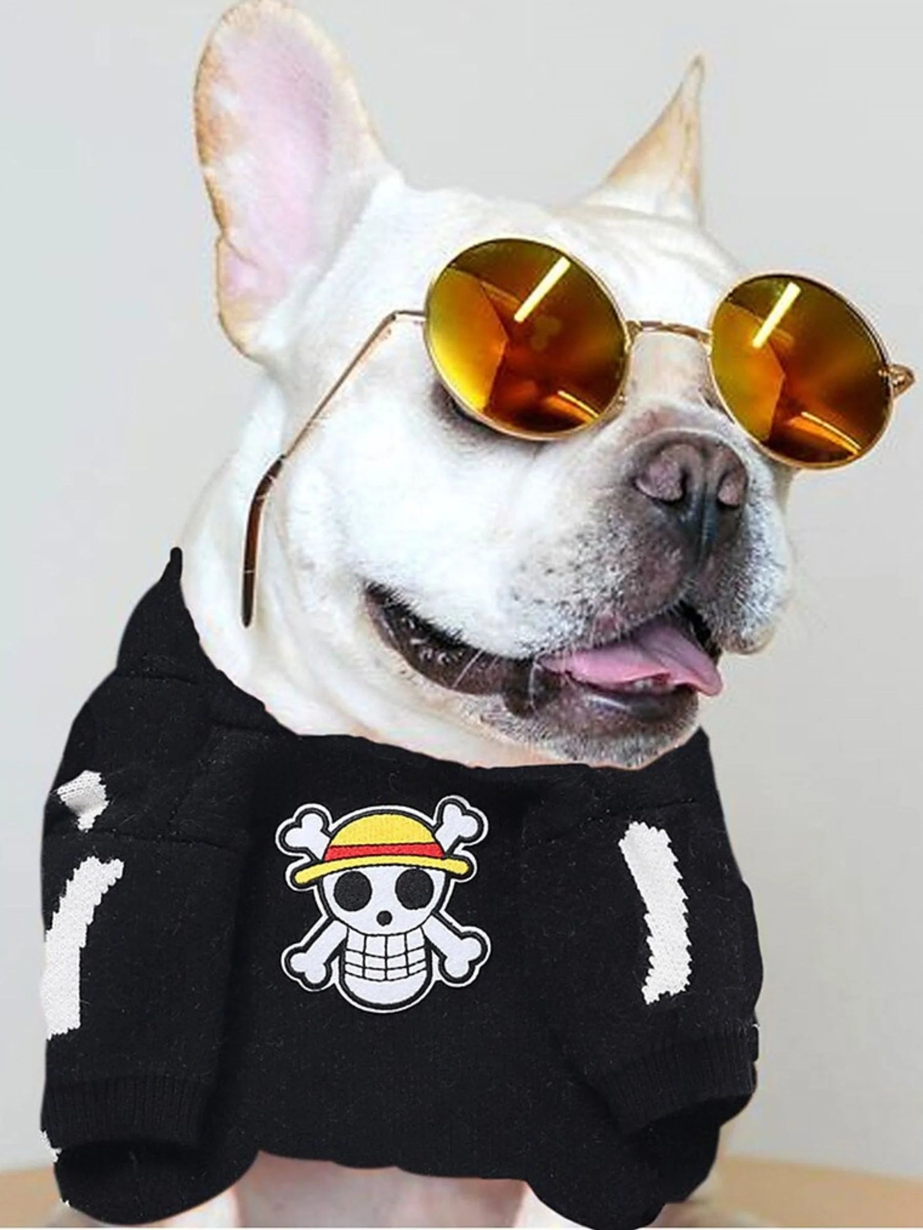 Warm Skull Sweater Halloween Winter Pet Trendy Pullover - Image 3
