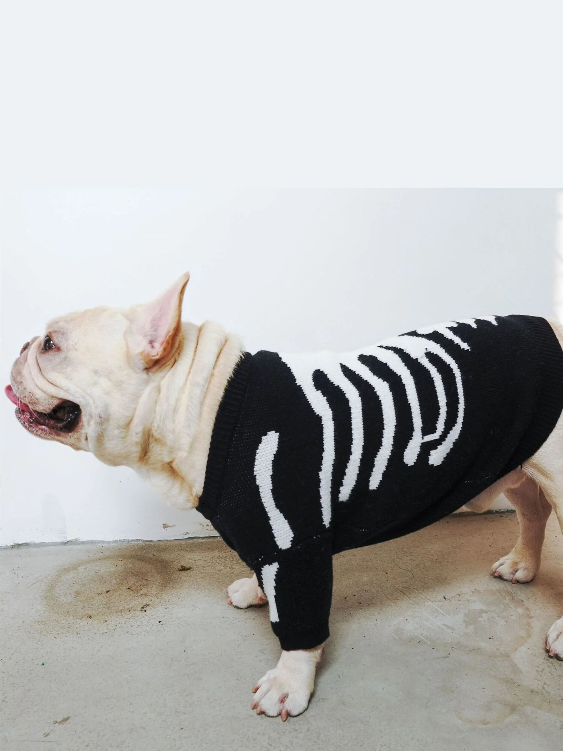 Warm Skull Sweater Halloween Winter Pet Trendy Pullover - Image 4