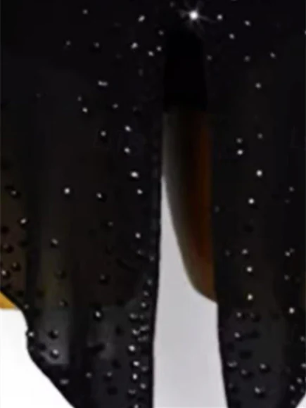 Women's Dancewear Latin Dance Dress Rhinestone Tassel Women's Performance Training Long Sleeve - Image 2